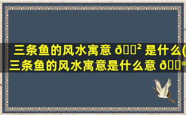 三条鱼的风水寓意 🌲 是什么(三条鱼的风水寓意是什么意 💮 思)